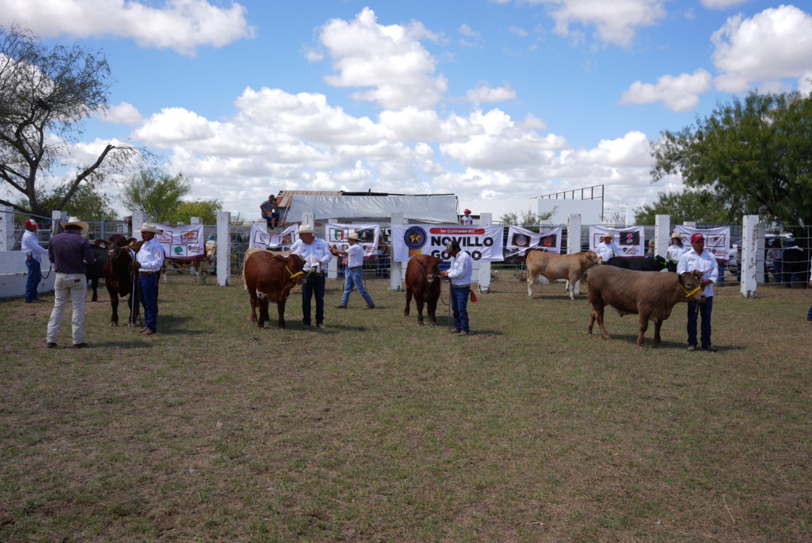 Impulsa Gobierno Municipal como nunca antes al sector ganadero de Nuevo Laredo Impulsa Gobierno Municipal como nunca antes al sector ganadero de Nuevo Laredo