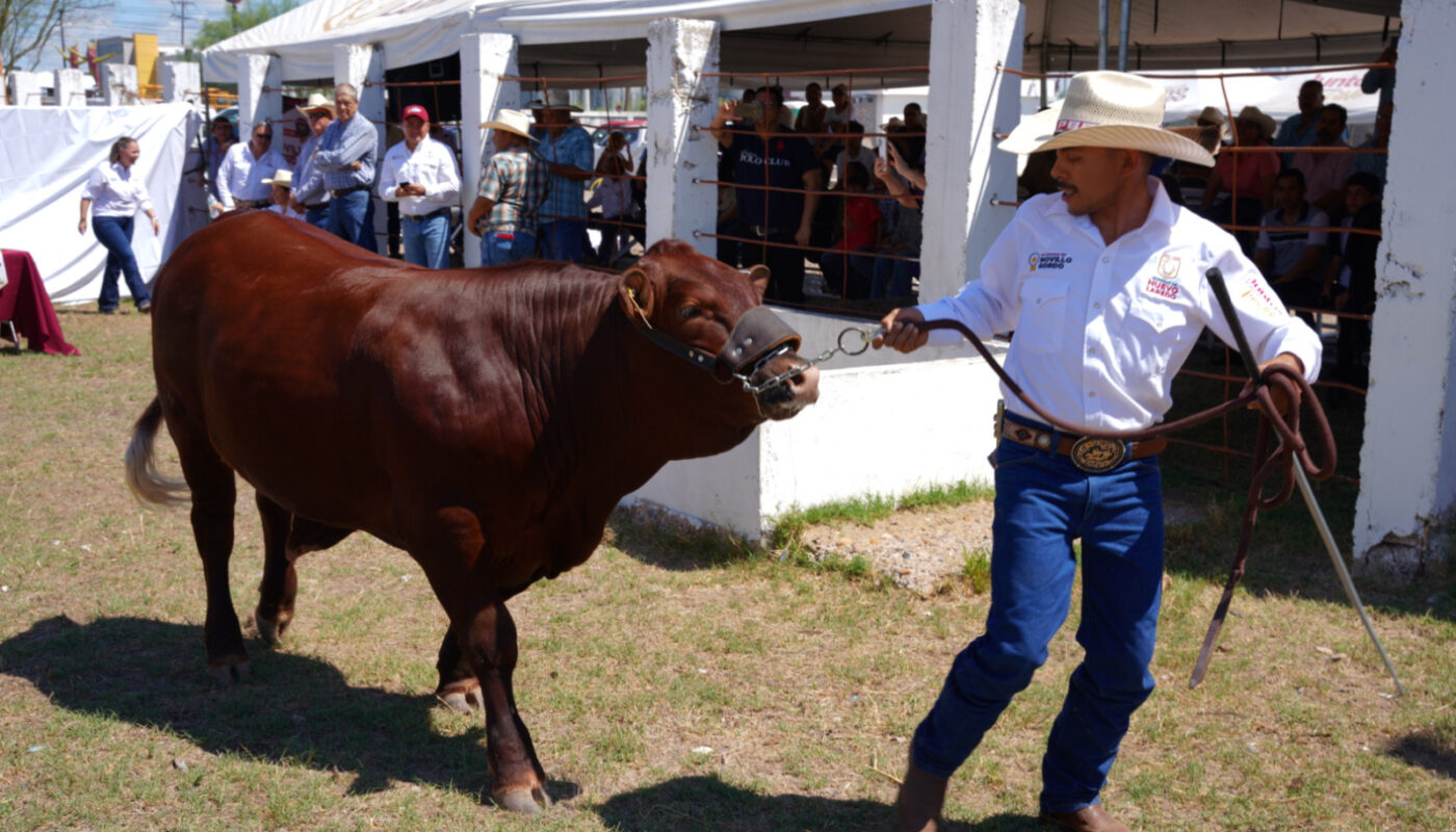 Impulsa Gobierno Municipal como nunca antes al sector ganadero de Nuevo Laredo