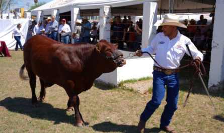 Impulsa Gobierno Municipal como nunca antes al sector ganadero de Nuevo Laredo