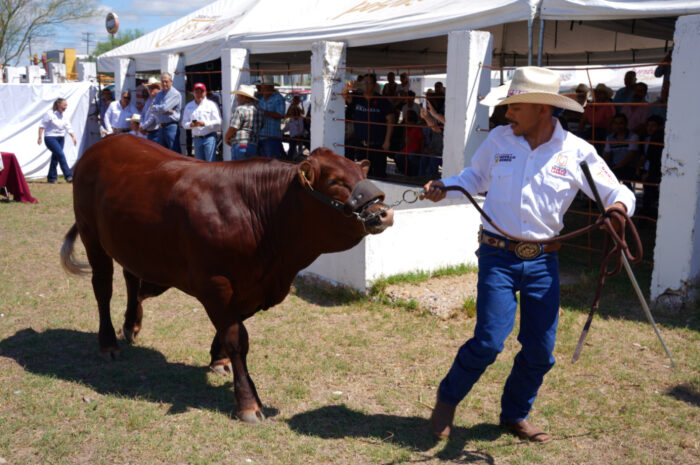 Impulsa Gobierno Municipal como nunca antes al sector ganadero de Nuevo Laredo