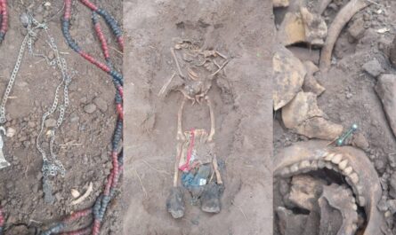 Hallan restos humanos en predio del ejido Los Longoria en Reynosa