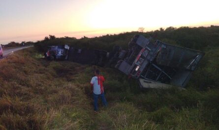 Volcadura de tráiler moviliza a cuerpos de auxilio en Padilla