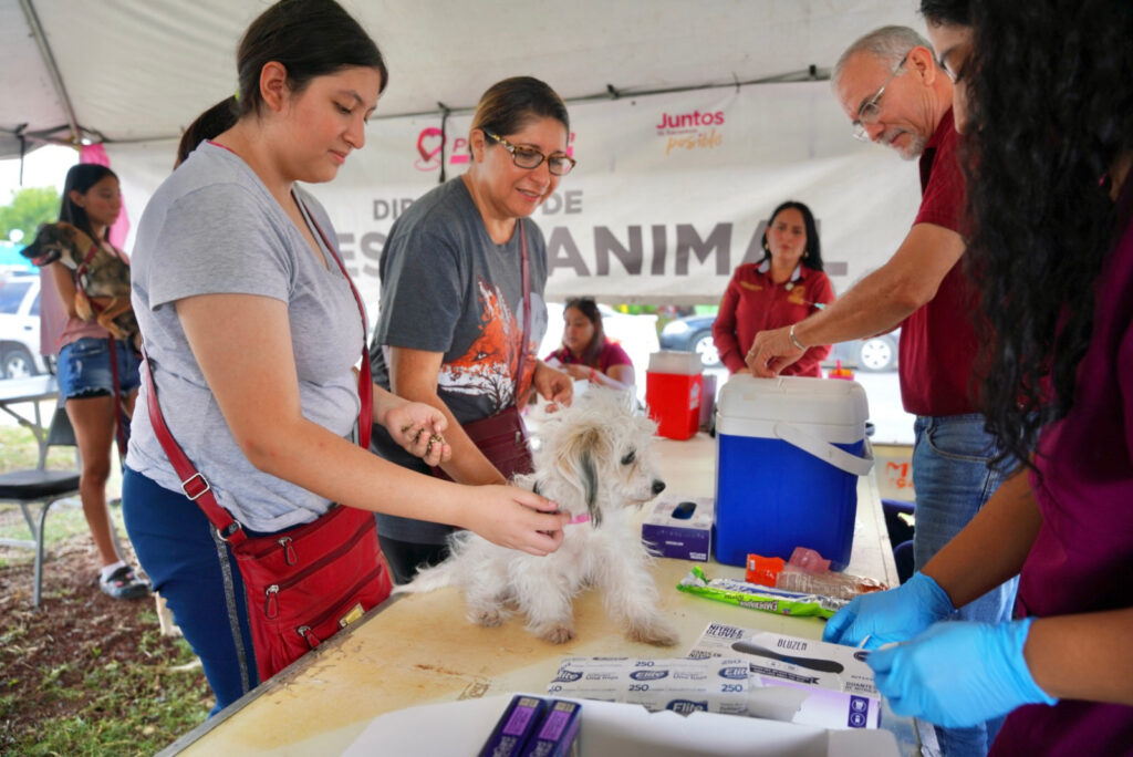 “Presidencia Cerquita de Ti” facilita el acceso a servicios municipales; vecinos de Valles de Anáhuac agradecen a alcaldesa