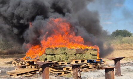 FGR incinera más de 200 kilos de droga en Reynosa