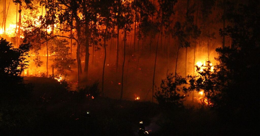 Tamaulipas reporta 18,786 hectáreas afectadas por incendios