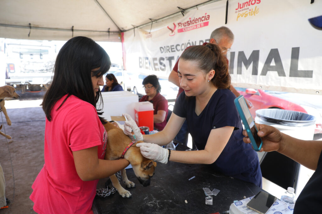 Presidencia Cerquita de Ti lleva beneficios del Gobierno Municipal a familias de colonia Naciones Unidas