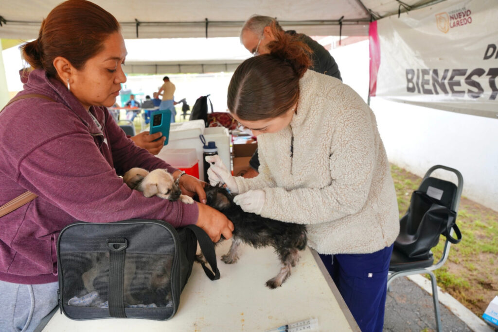 Programa “Presidencia Cerquita de Ti” fortalece la cercanía del Gobierno con vecinos de Buenavista
