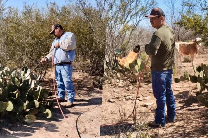 Convoca Gobierno de Nuevo Laredo a productores rurales a registrarse para el subsidio de gas LP destinado al chamusque de nopal