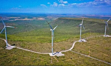 Tribunales resolverán conflicto en parque eólico de Llera