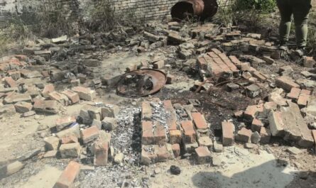 Amor por los Desaparecidos reportó 52 hallazgos en 2025