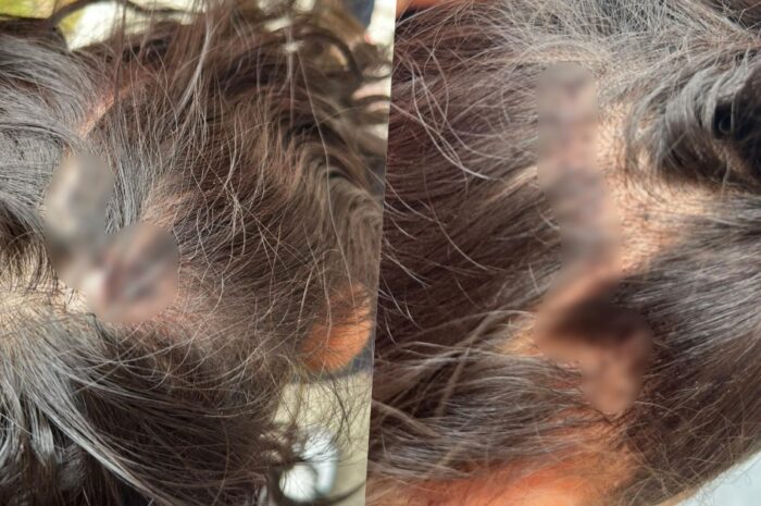 Activan protocolo de protección para dos menores por presunto maltrato en Ciudad Victoria