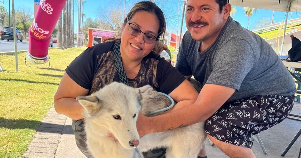 Gobierno de Nuevo Laredo invita a la Feria de Adopción Canina y Felina en la Plaza Zaragoza Gobierno de Nuevo Laredo invita a la Feria de Adopción Canina y Felina en la Plaza Zaragoza