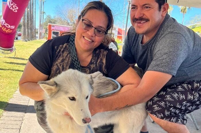 Gobierno de Nuevo Laredo invita a la Feria de Adopción Canina y Felina en la Plaza Zaragoza