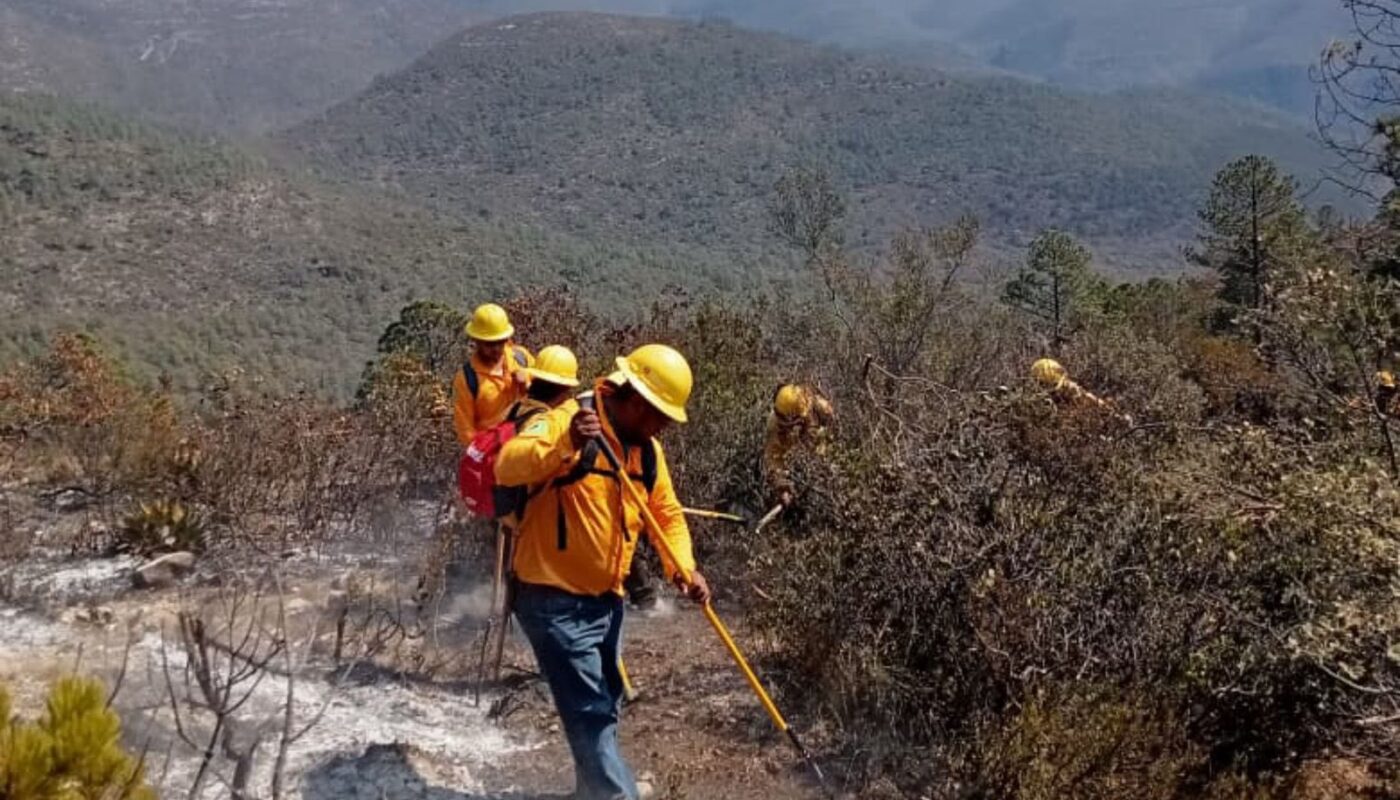 Incendio forestal en Miquihuana afecta 250 hectáreas