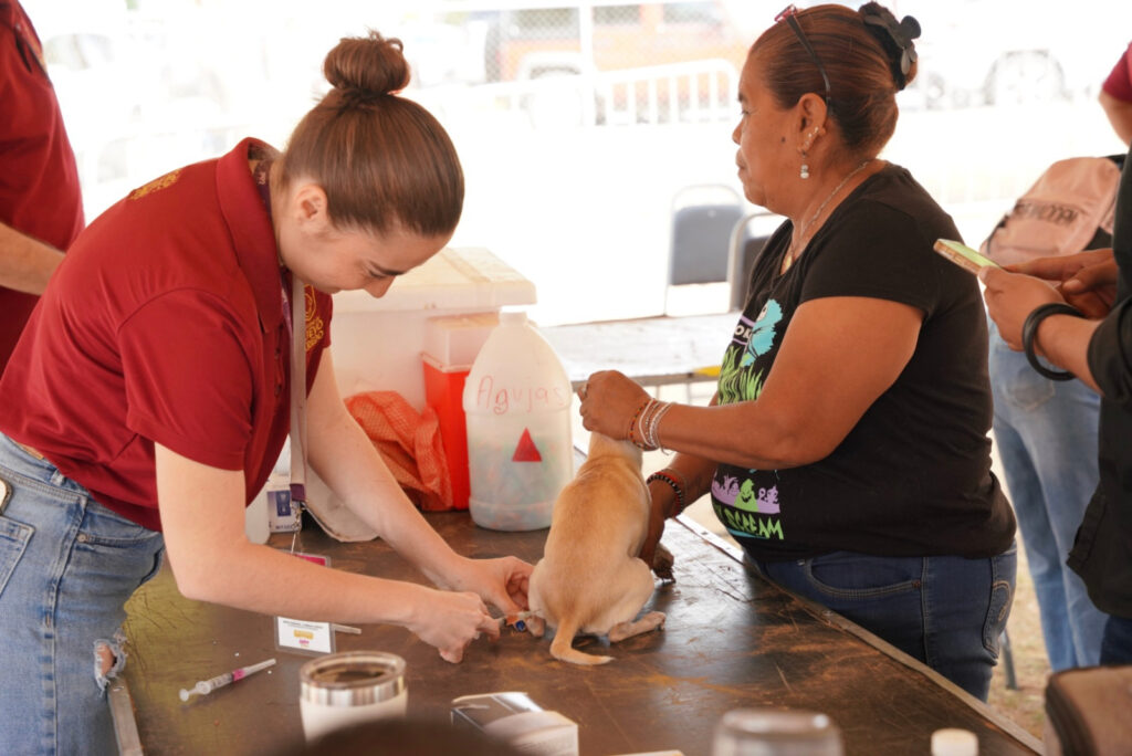 Vecinos de Valles del Paraíso reciben atención directa con programa “Presidencia Cerquita de Ti”