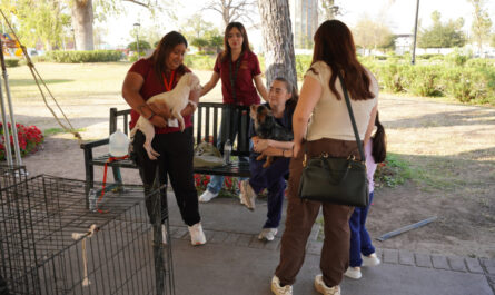 Invita Gobierno de Nuevo Laredo a dar un hogar a perros y gatos rescatados en feria de adopciones
