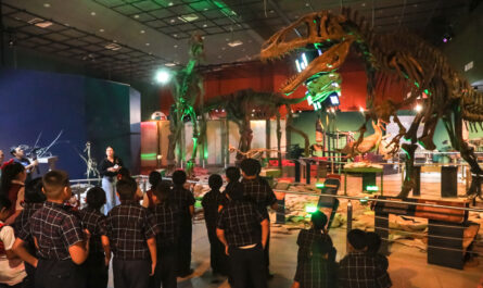 Invita Gobierno de Nuevo Laredo a disfrutar los museos del Centro Cultural en Semana Santa