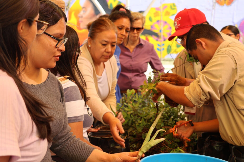 Culmina con éxito taller de lombricomposta organizado por INMUJER y Gestión Ambiental