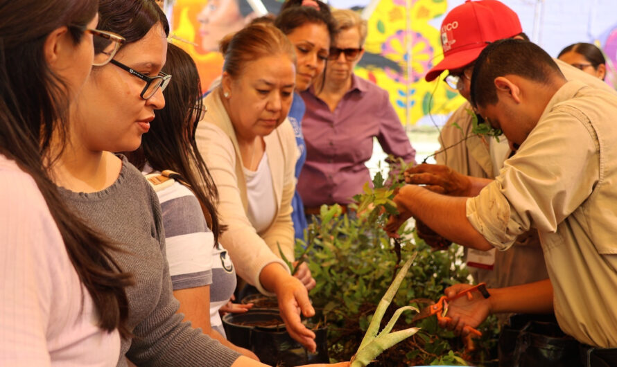 Culmina con éxito taller de lombricomposta organizado por INMUJER y Gestión Ambiental
