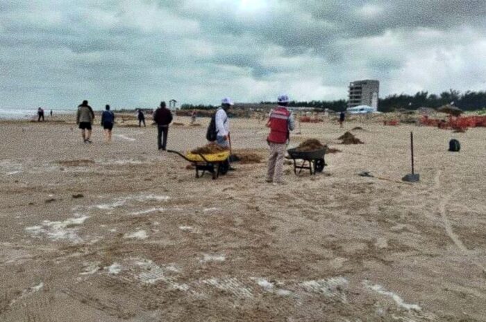 Tamaulipas monitorea sargazo en sus playas y activa medidas preventivas