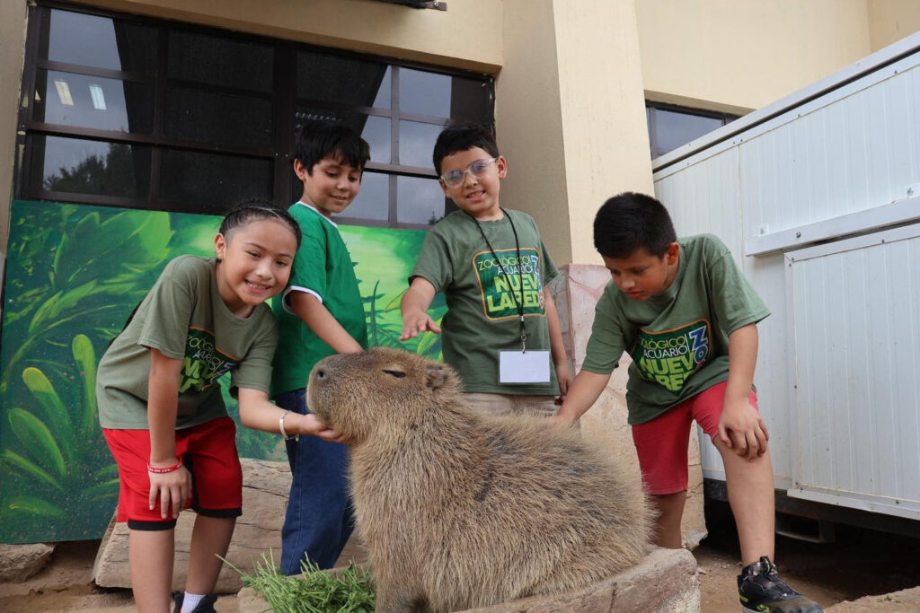 Zoológico de Nuevo Laredo fortalece la educación ambiental con visitas guiadas para estudiantes Zoológico de Nuevo Laredo fortalece la educación ambiental con visitas guiadas para estudiantes