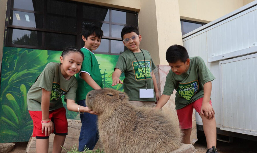 Zoológico de Nuevo Laredo fortalece la educación ambiental con visitas guiadas para estudiantes Zoológico de Nuevo Laredo fortalece la educación ambiental con visitas guiadas para estudiantes