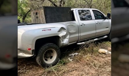 Aseguran “monstruo” oculto en brecha rural de Reynosa