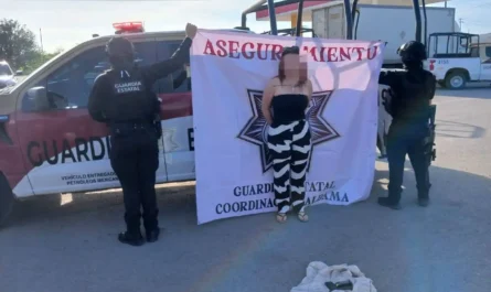 Aseguran arma y detienen a mujer en Aldama