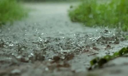 Lluvias se mantienen este lunes en Tamaulipas
