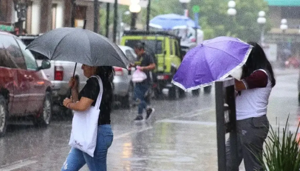 Lluvias dejan buena captación en Tamaulipas y continuarán en varios municipios Lluvias dejan buena captación en Tamaulipas y continuarán en varios municipios