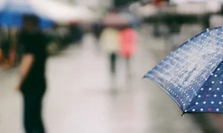 Clima en Tamaulipas: jueves con lluvias, tormentas y calor