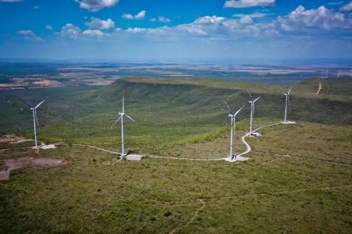 Tamaulipas impulsará su capacidad eólica con seis nuevos parques