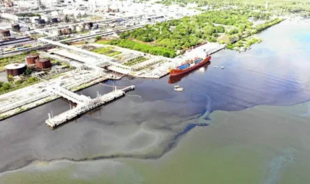 Pescadores del río Pánuco reclaman a Pemex por daños